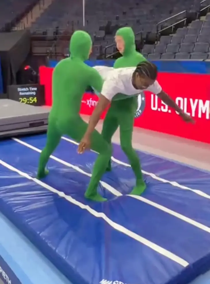 Their job is to help out and not get caught. (TikTok/simeonebilesowens)