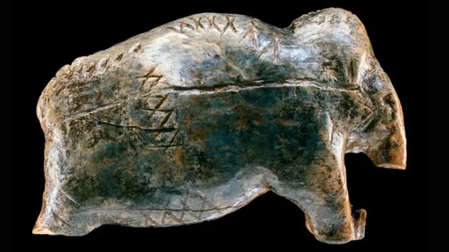 Bentz & Dutkiewicz, PNAS, 2026