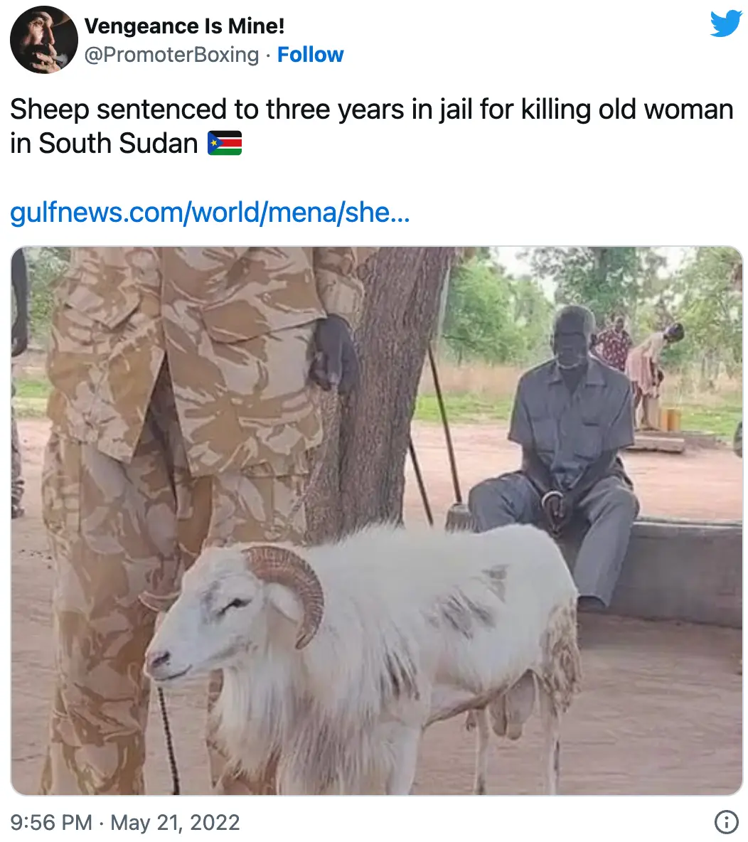 In May, a sheep was actually arrested for its antics.