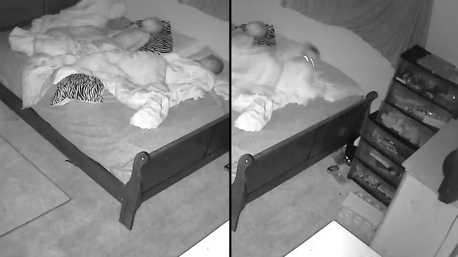 Kennedy News and Media