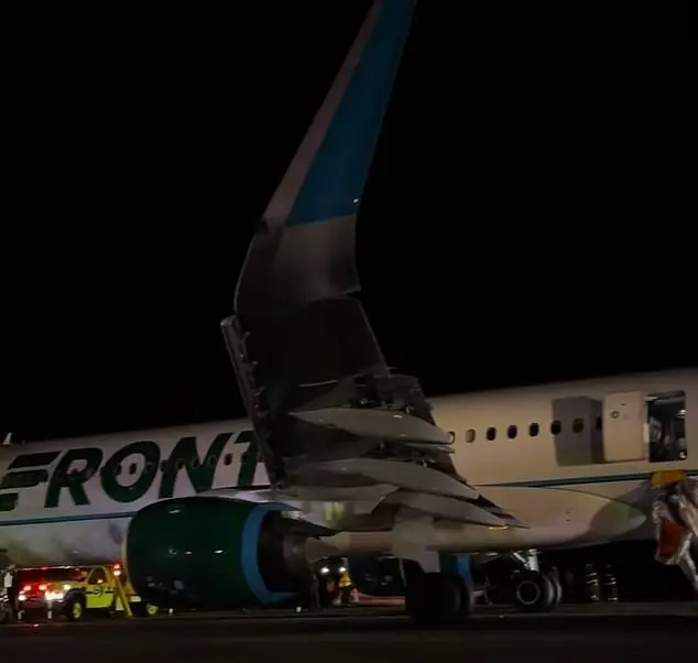 Passengers were forced to evacuate onto the runway (TikTok)