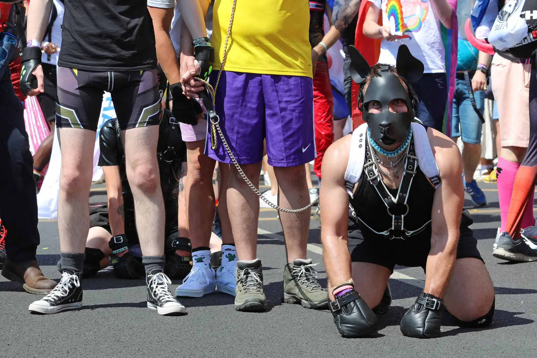 Who's a good boy? (Getty Stock Images)