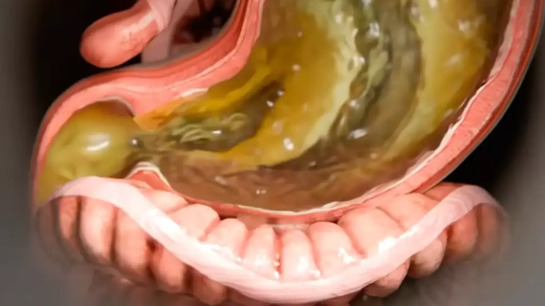 YouTube/Zack D Films