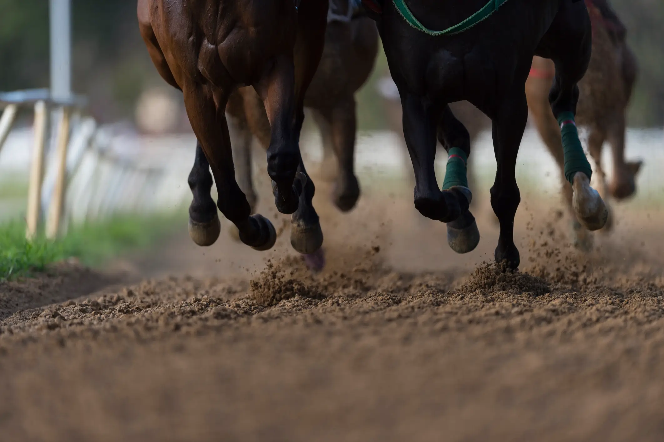 An Irish lad is taking the bookies to the high court over a horse race gamble (Getty Stock Image)