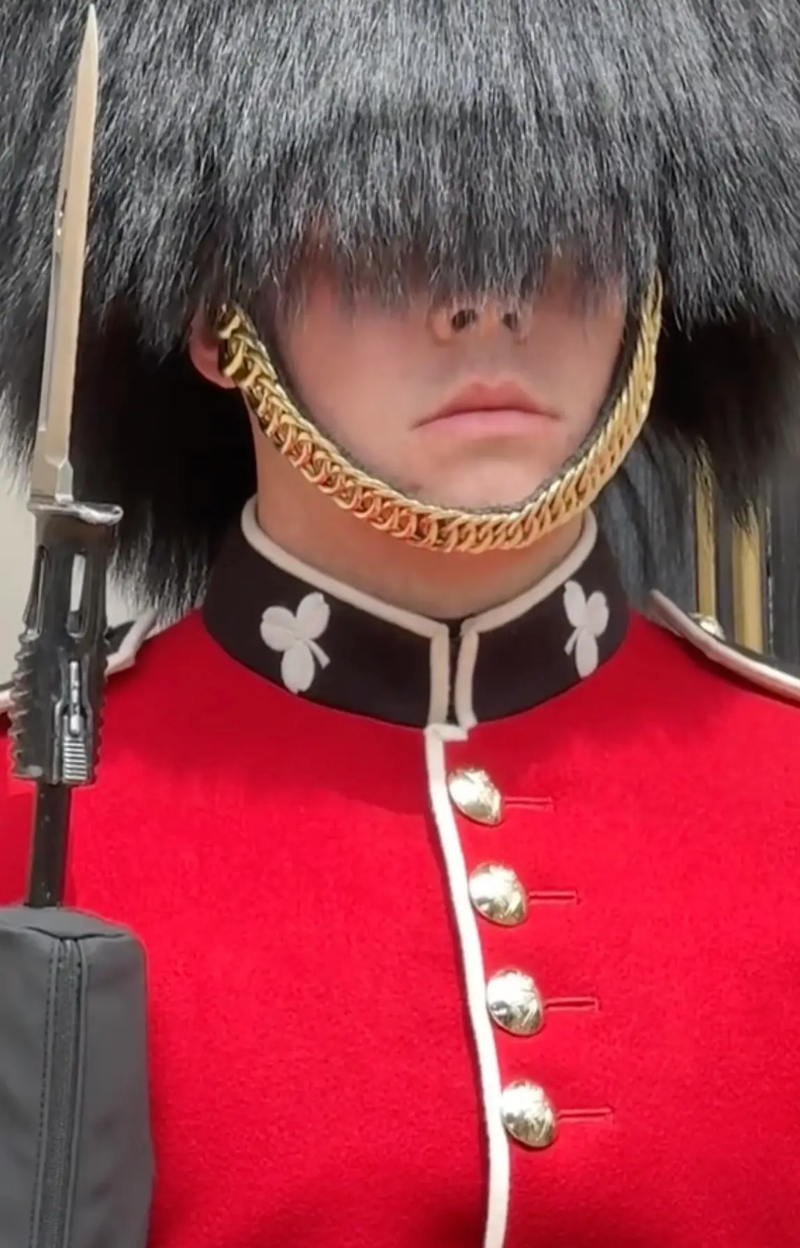 But sadly for Azaria, he didn't even flinch at his incredible impersonations (TikTok/@thehankazaria)