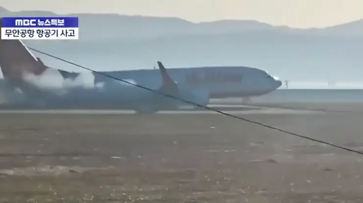 The plane made an emergency landing at an airport in the South Korean town of Muan, but the landing gear failed to deploy (Twitter)
