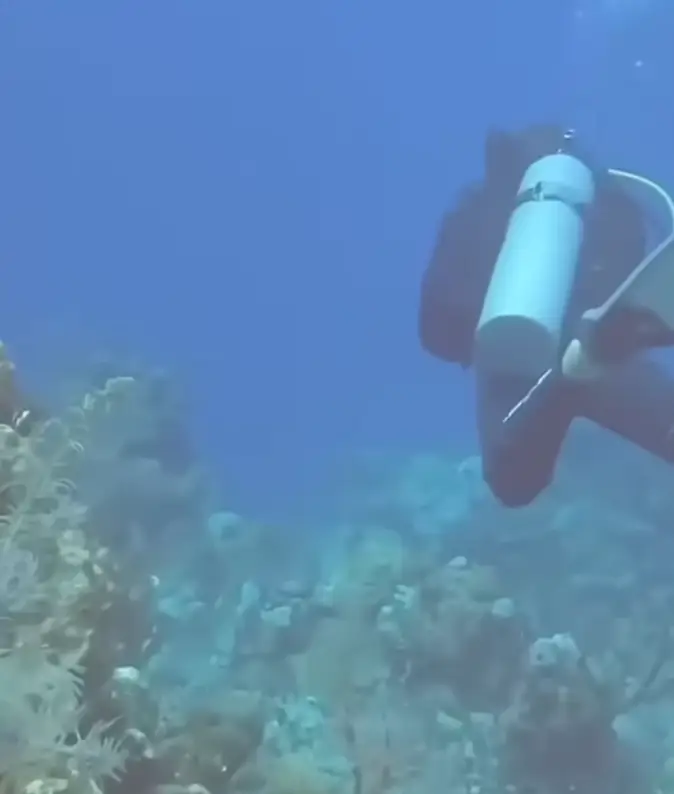 The divers were taken aback by the sound. (YouTube/jimryan4056)