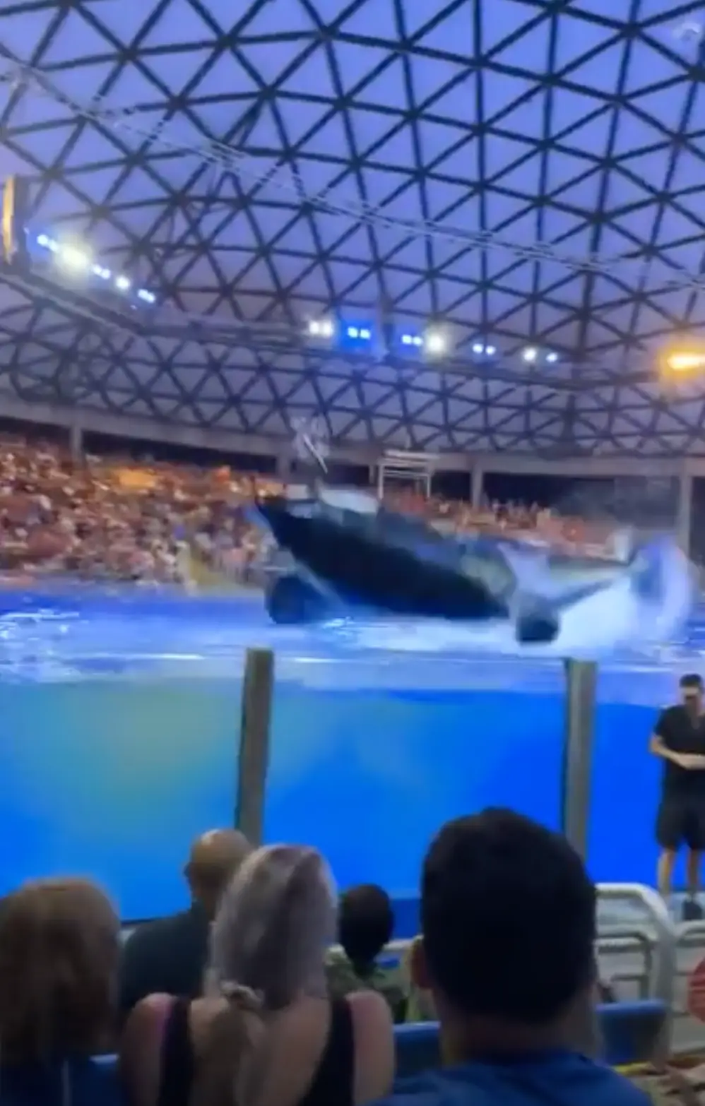 One of those 'images before disaster' (Alex Bermudez via Storyful)