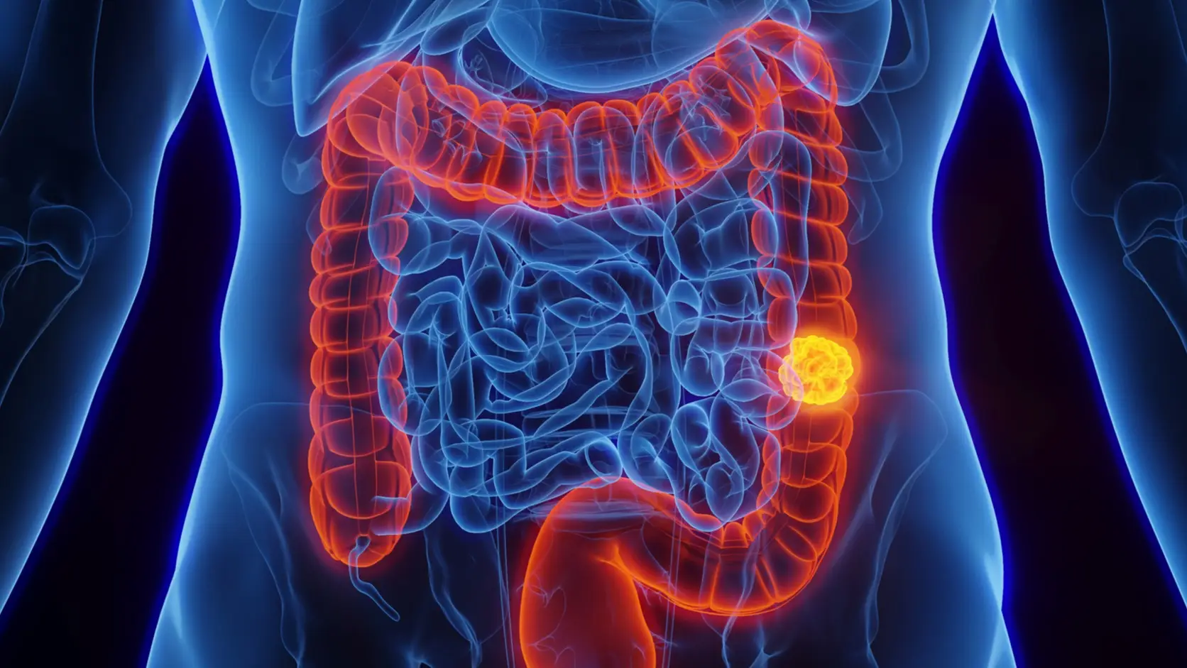 (Getty Stock Images)