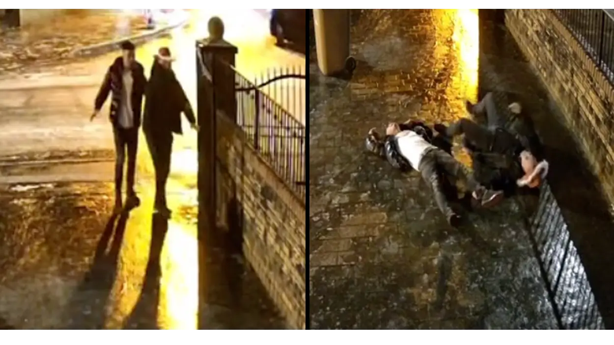 @eddisonhalstead / TikTok