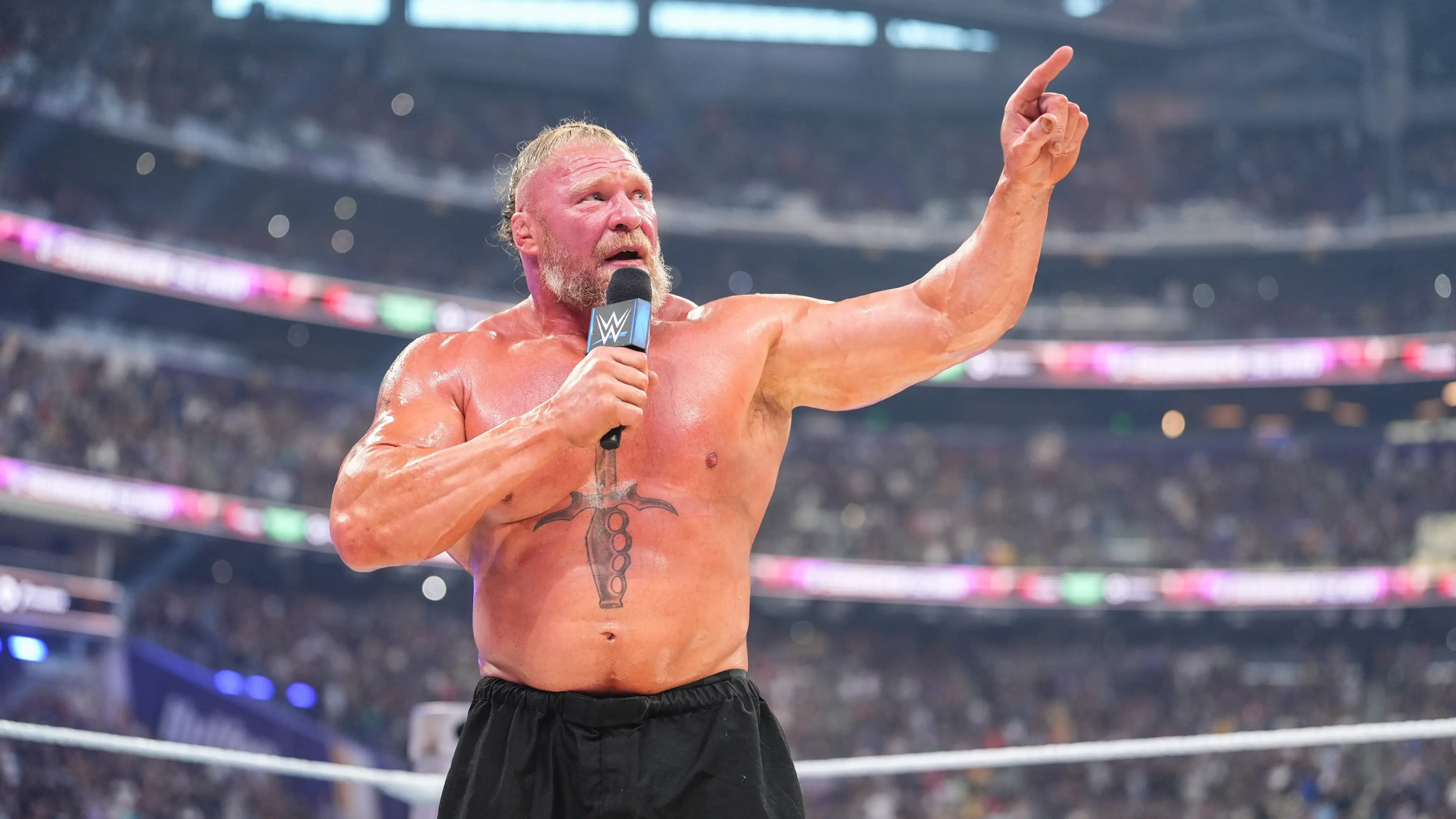 Georgiana Dallas/WWE via Getty Images