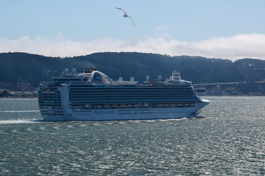 The Ruby Princess has since returned to San Francisco (Tayfun Coskun/Anadolu Agency via Getty Images)