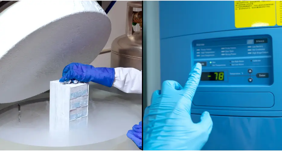 Peter Dazeley/Getty / zhihao/Getty