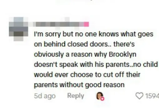 Nicola has been spotted 'liking' certain comments on TikTok (TikTok/@nicolaannepeltzbeckham)