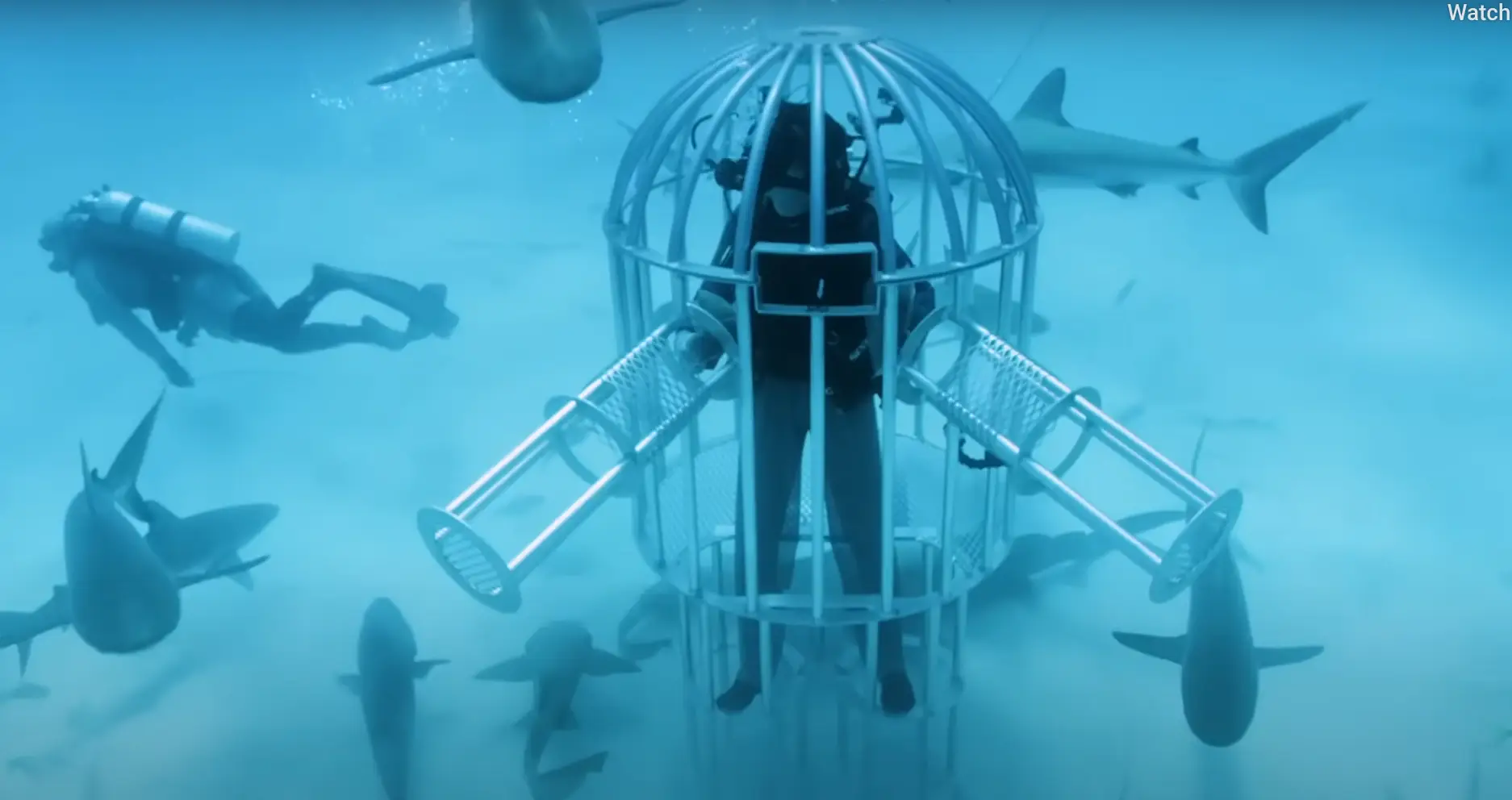 He seemed pretty scared in the video. (YouTube/Mark Rober)