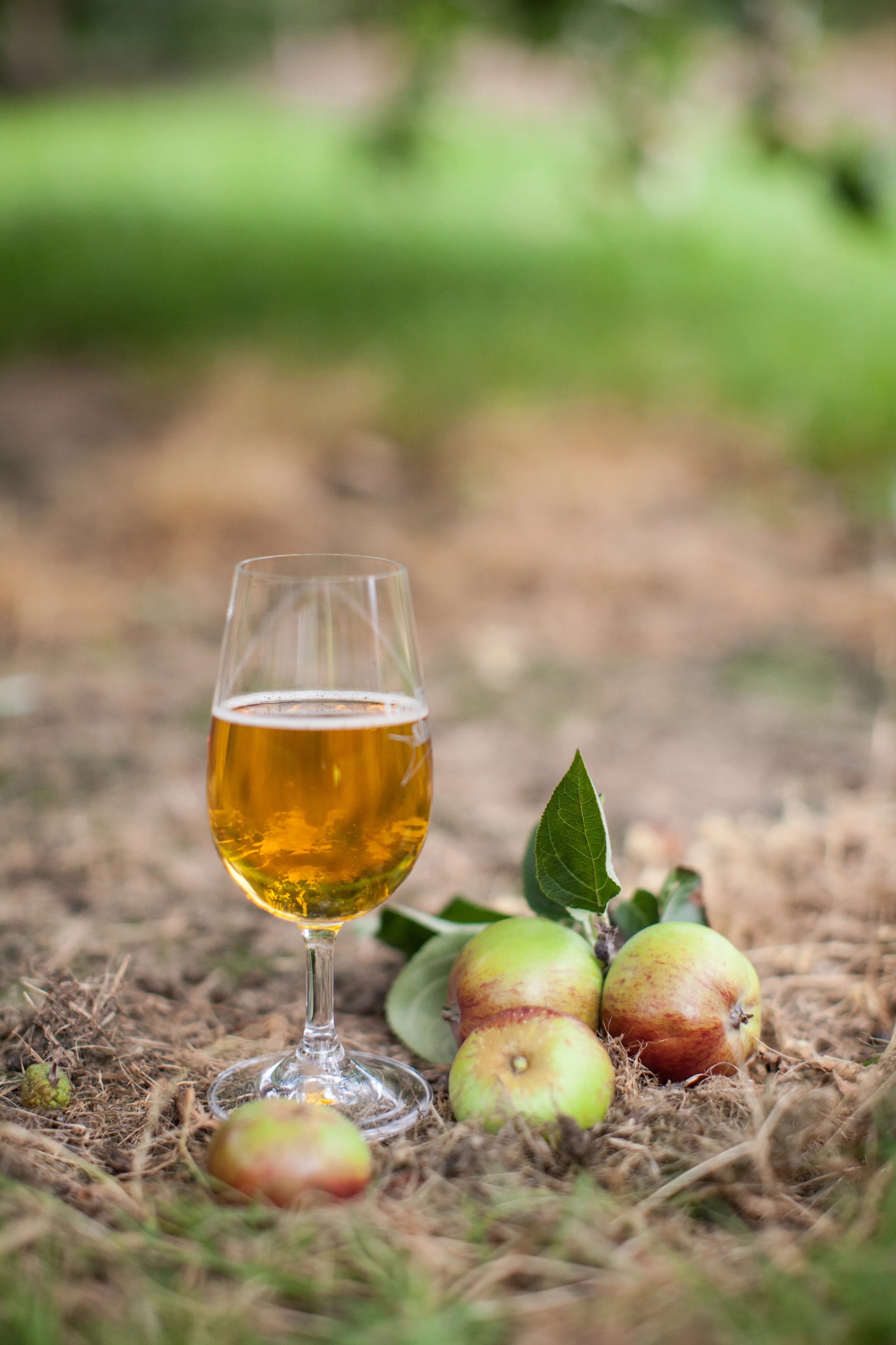 Who doesn't love a good cider on warm summer's day? Probably all of the people who ended up with one of Clarkson's exploding bottles.