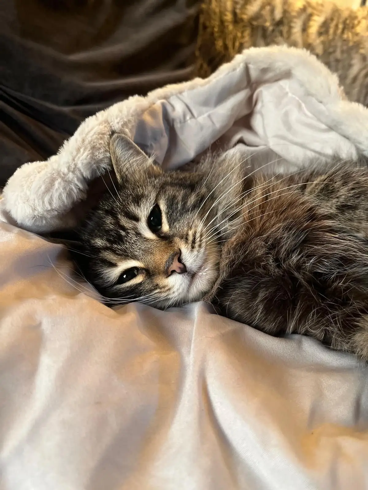 Nora was missing for several days (SWNS)