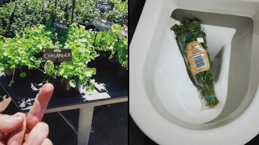 Credit: I Hate Coriander/Instagram