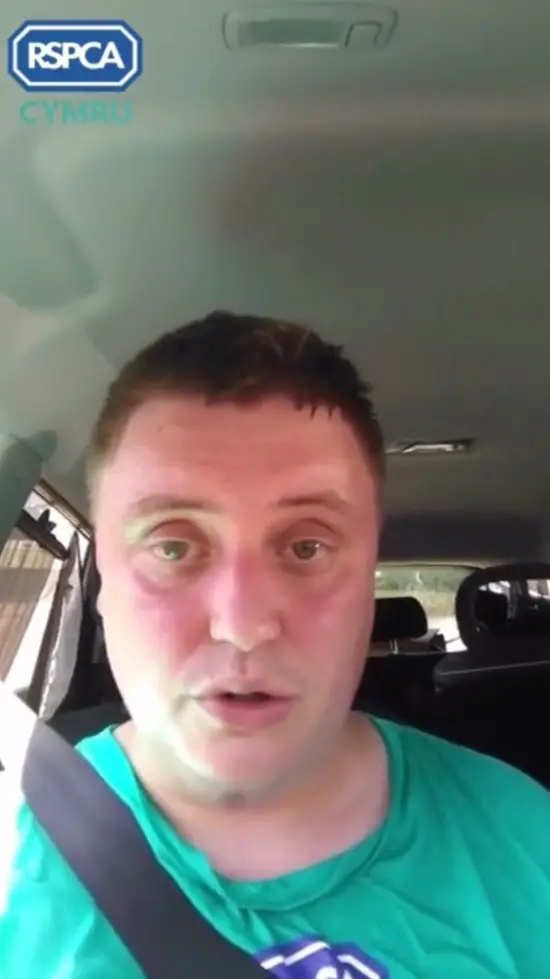 The RSPCA has shared a frightening video of what it's like to be a dog in a car on a hot day.