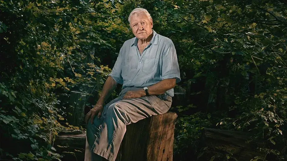 Sir David Attenborough's new series started last night (3 November) (BBC)