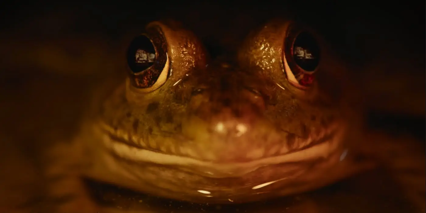 Netflix released the series today (Netflix)