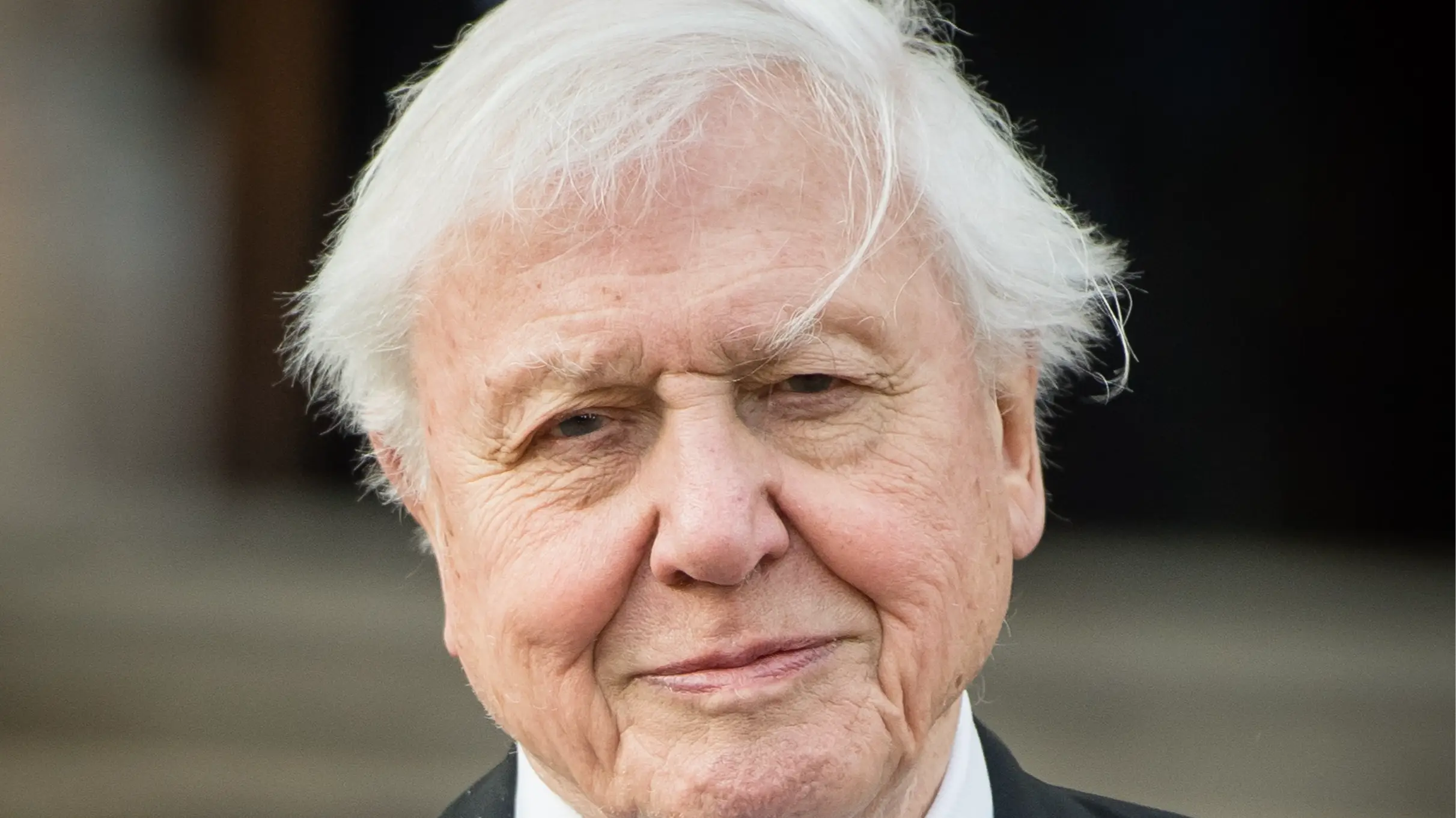 Samir Hussein/WireImage/Getty Images