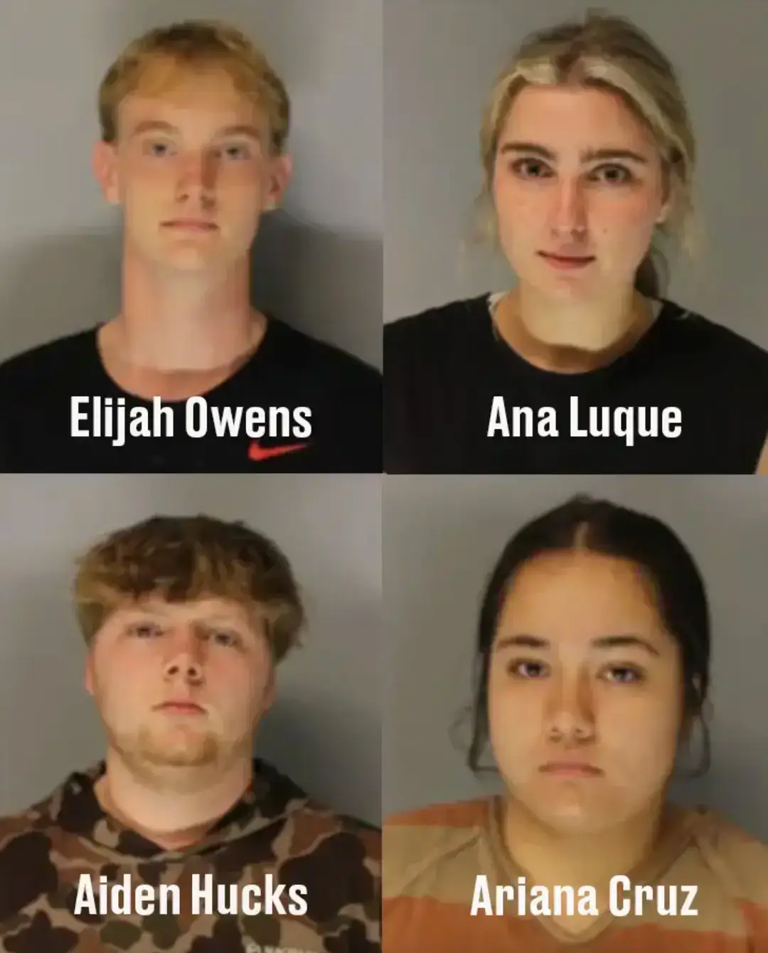 The other teens were charged with criminal trespass and littering on private property (Hall County Sheriff's Office)