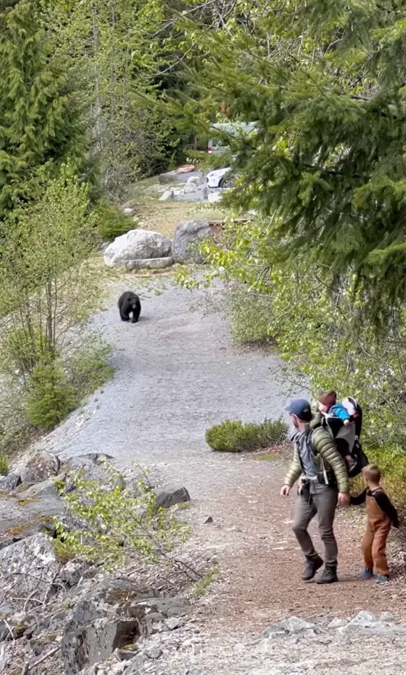 A lifestyle blogger has shared footage of her family’s nerve-shredding encounter with a black bear.