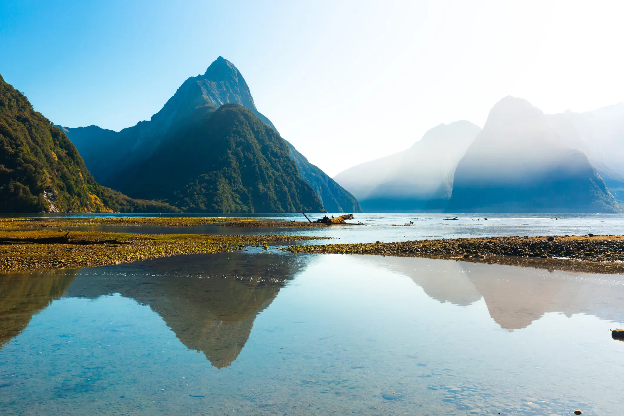 Australia and New Zealand are apparently safe options (Getty Stock Images)