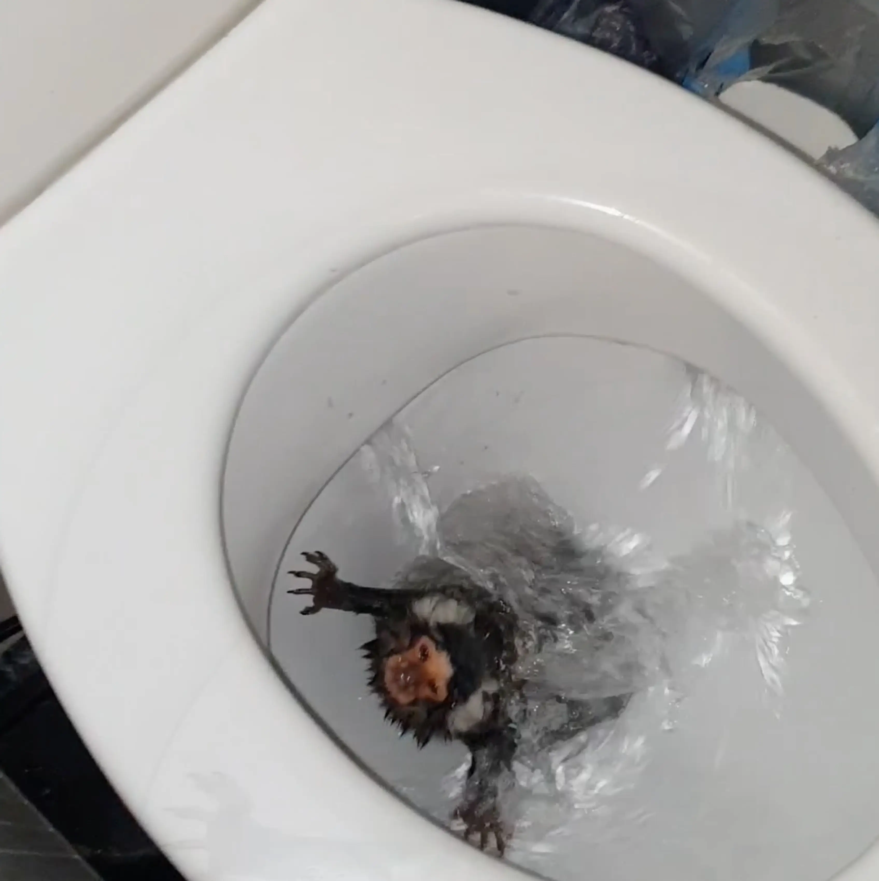 The videos were found by police on Holland’s phone after a drugs bust.