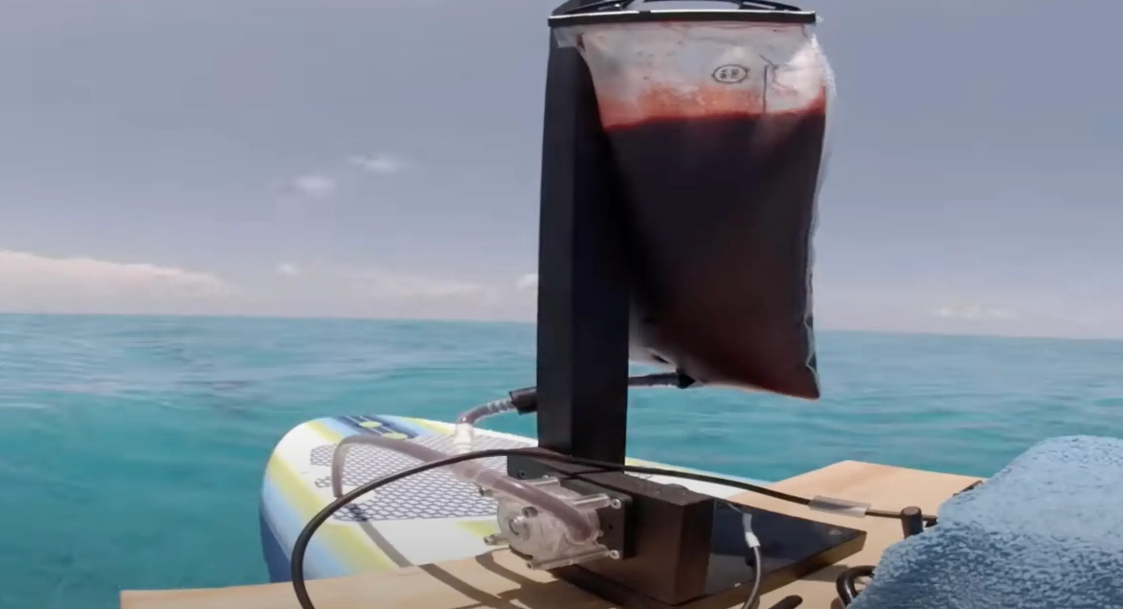 The former NASA engineer then used human blood for the second phase of the experiment (YouTube/Mark Rober)