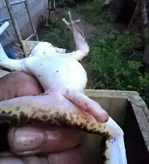 It's hard to ignore. (Facebook/Theroadhammer)