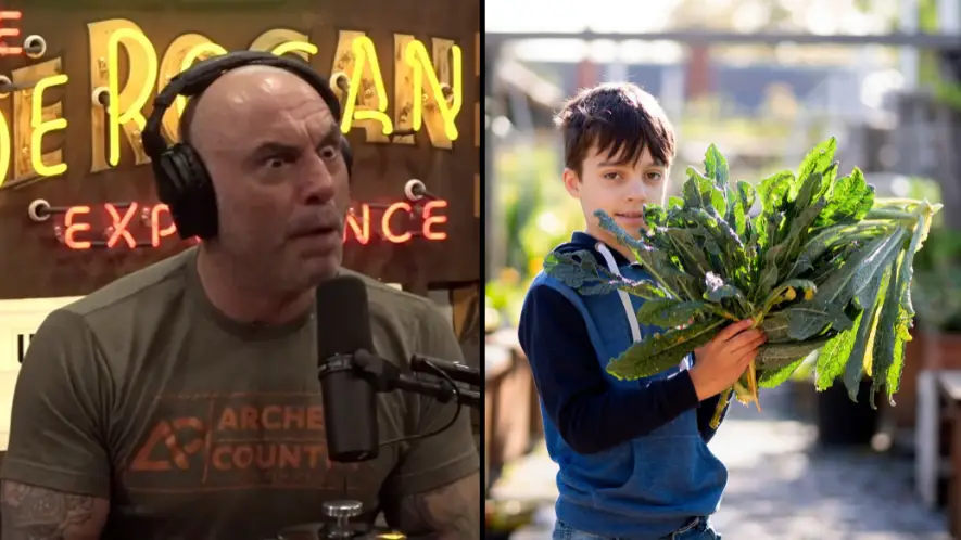 Reddit/Joe Rogan. Cultura Creative Ltd / Alamy Stock Photo.