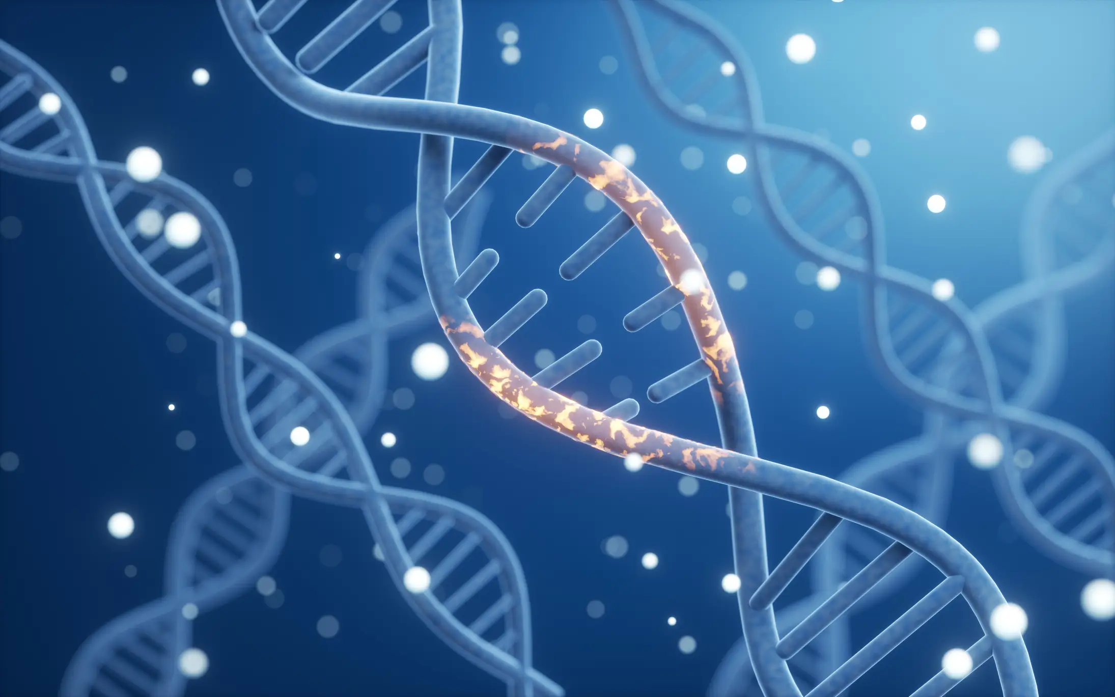 It's all to do with our DNA (Getty Stock Images)