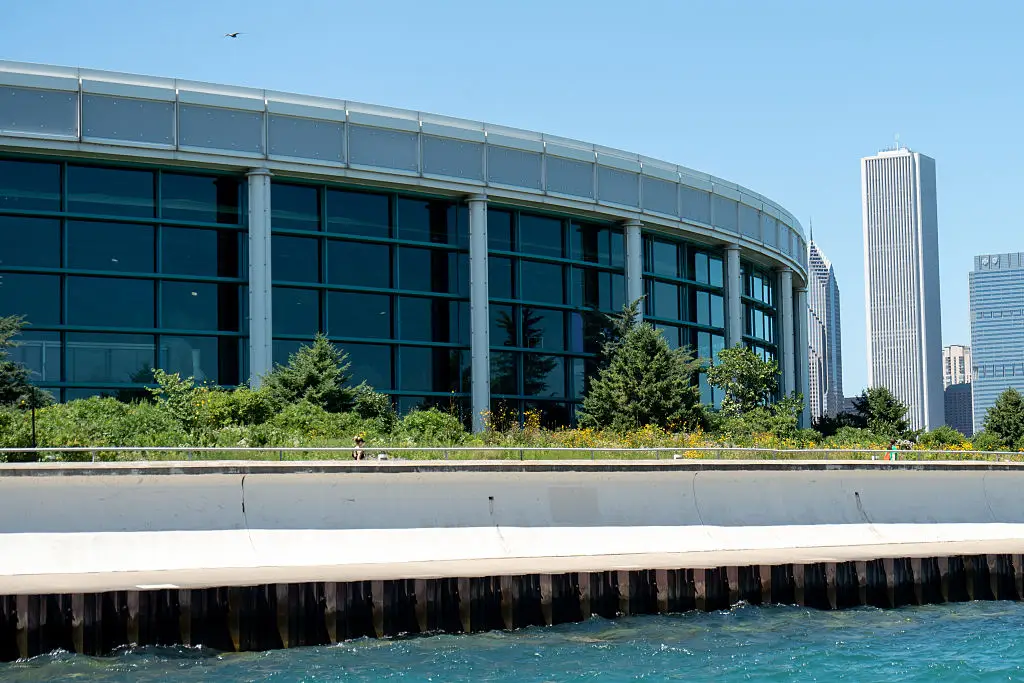 The Shedd aquarium in Chicago (Marcin Golba/NurPhoto via Getty Images)