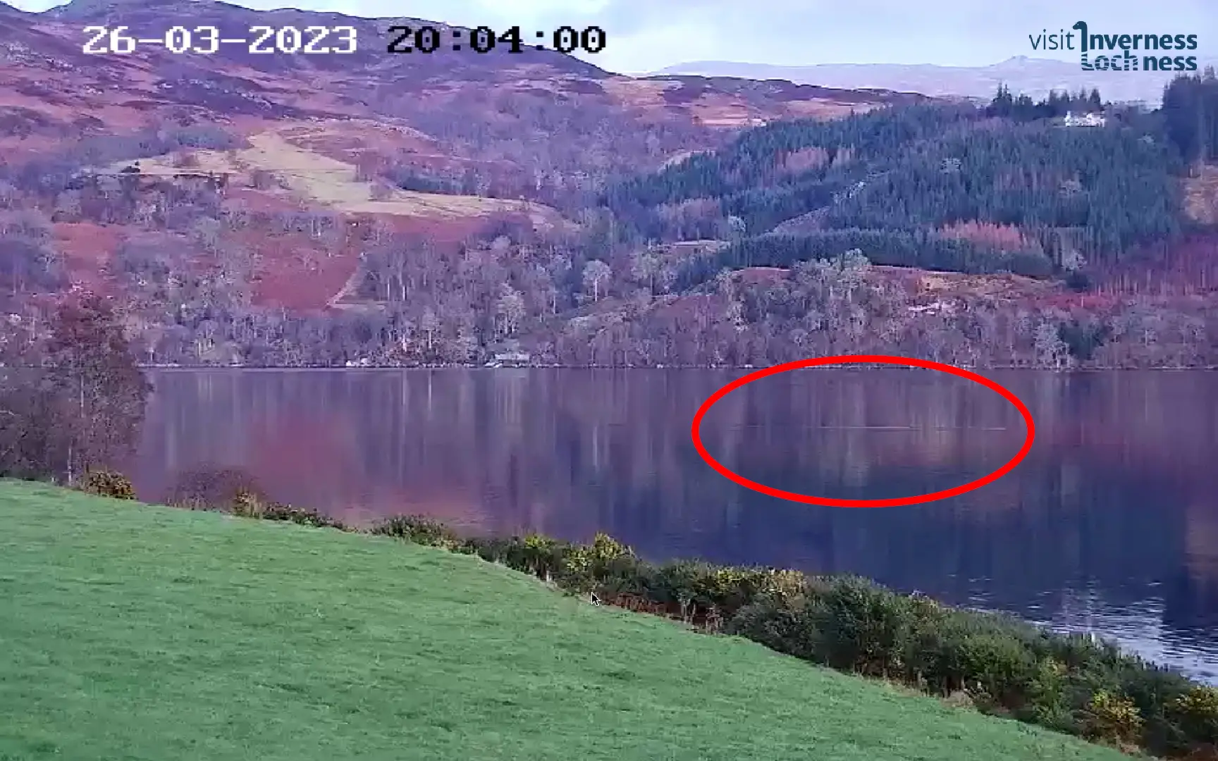 Can you see the mystery object?