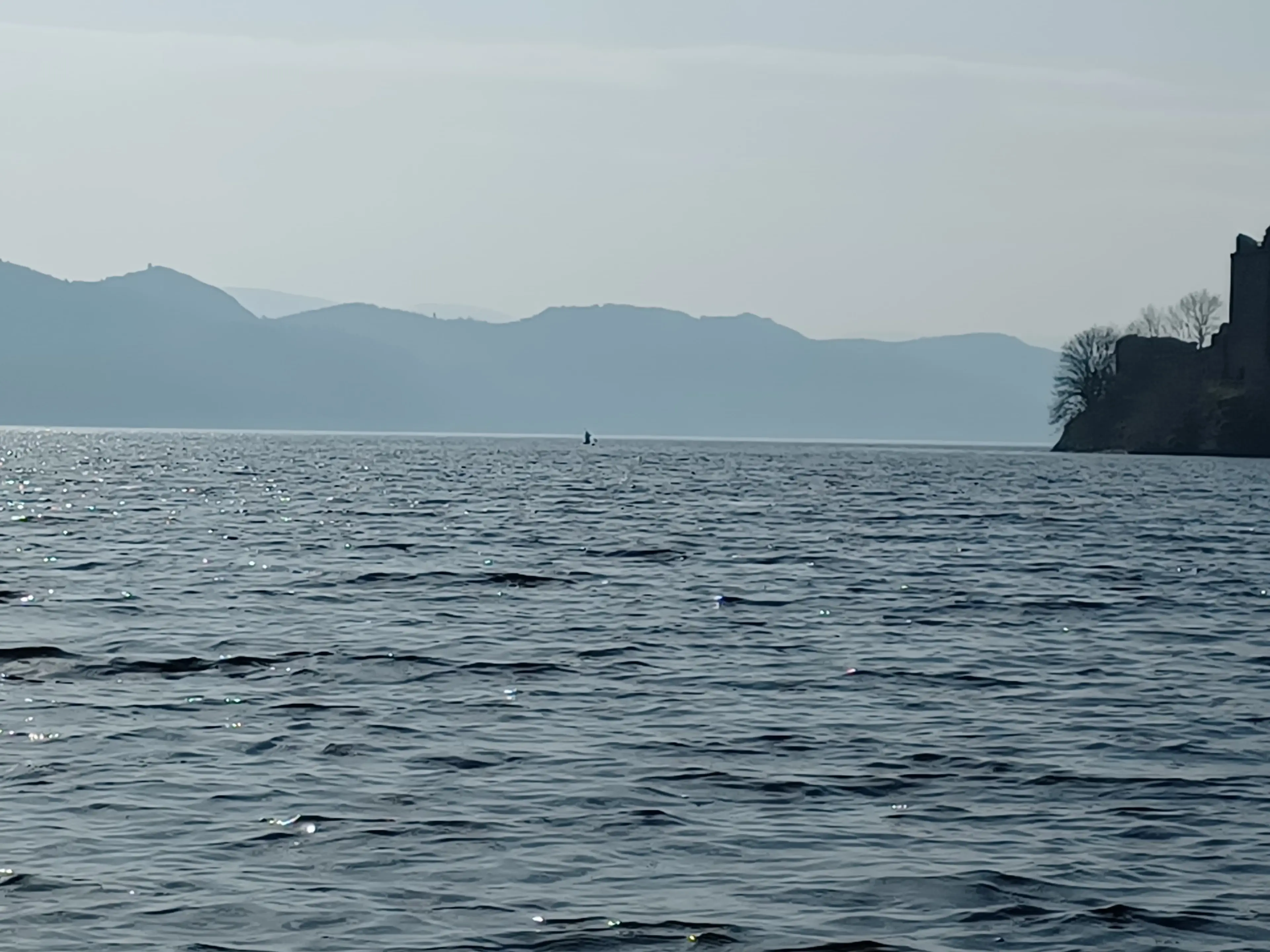 Richie said he can understand how paddle boarders could be mistaken for the creature.