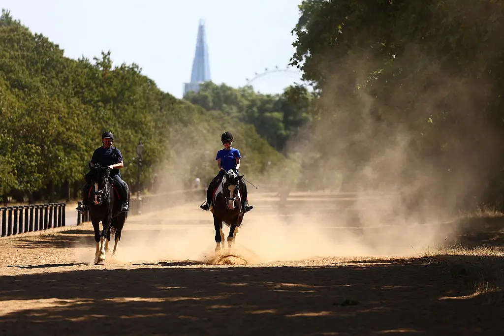 It's set to be a scorcher this week (Peter Nicholls / AFP via Getty Images)