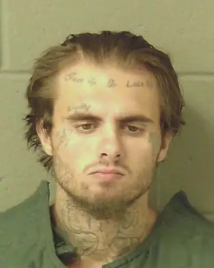 McNabb's appeals have been unsuccessful (11Alive)