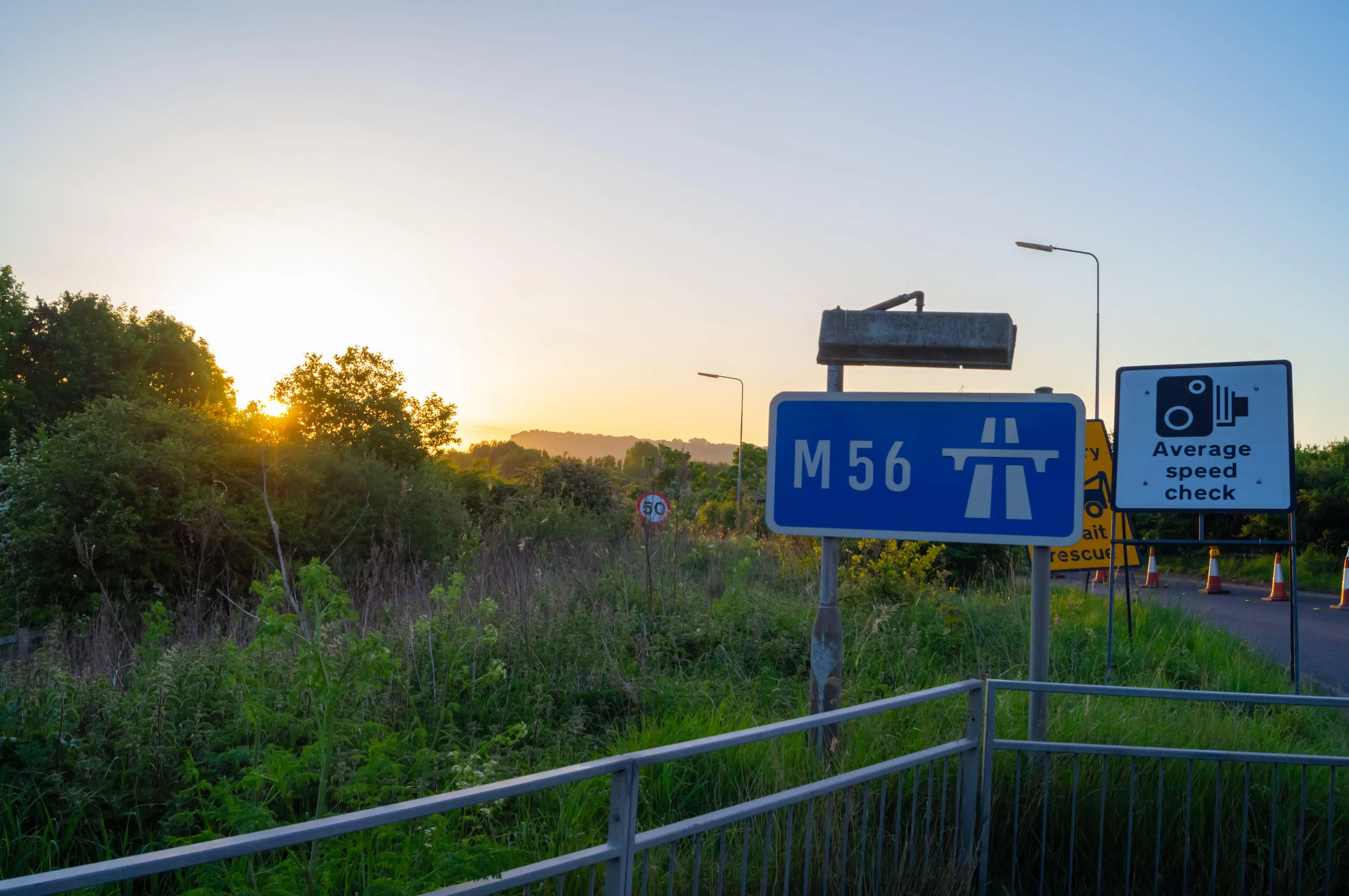 Tilston had been driving on the M56 when the horse escaped.