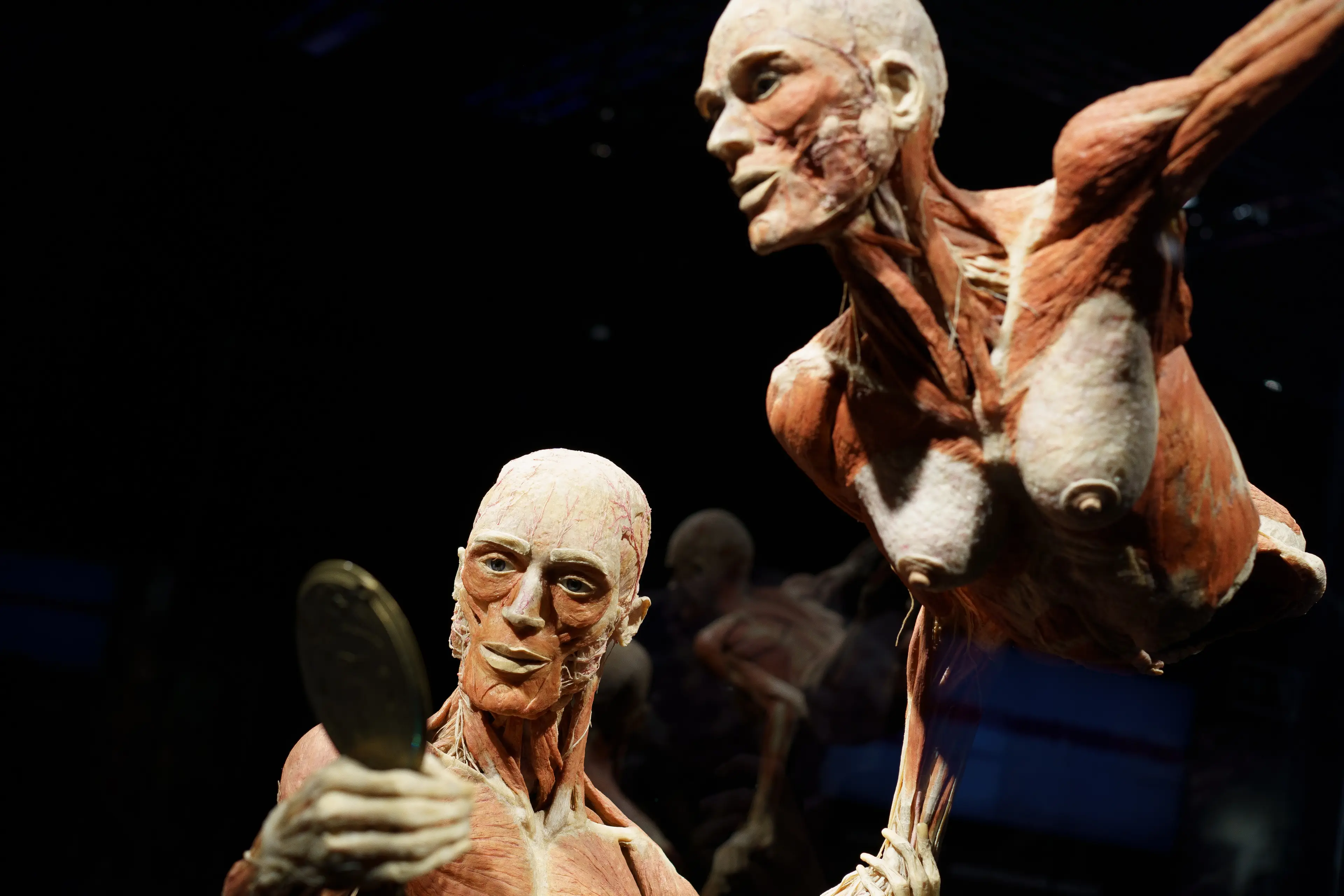 The exhibition has left people divided (Atilano Garcia/SOPA Images/LightRocket via Getty Images)