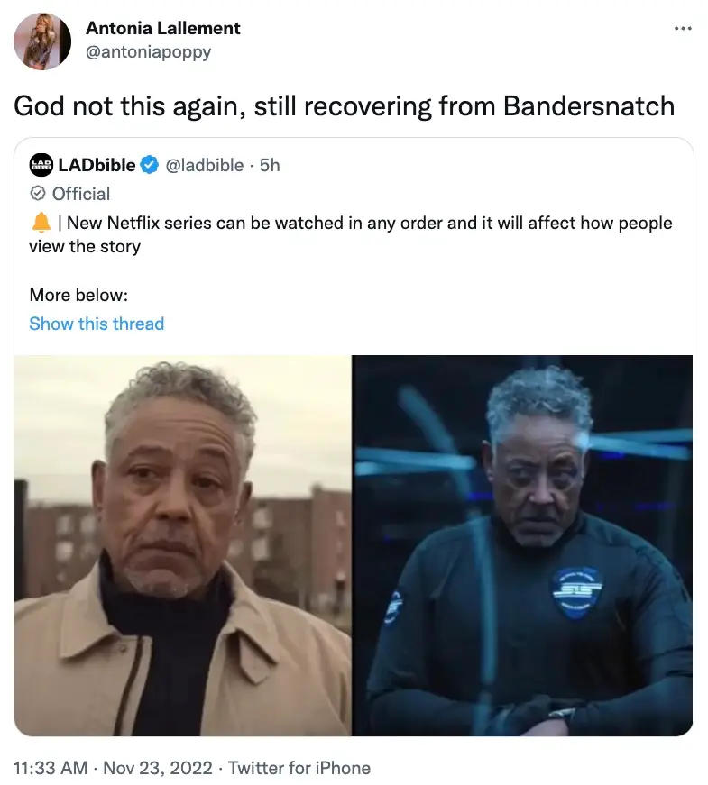 Some people are worried the series will be too similar to Bandersnatch.