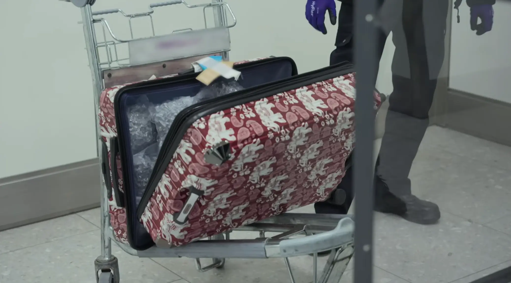 During filming they happen to come across a woman who is found with £500k worth of weed in her suitcase (Channel 4)