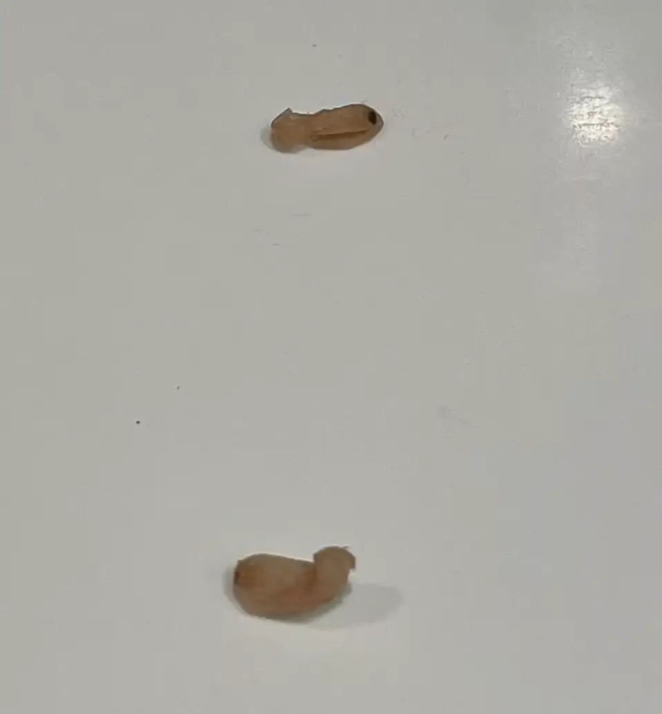 She took to Facebook to ask people for their opinions.