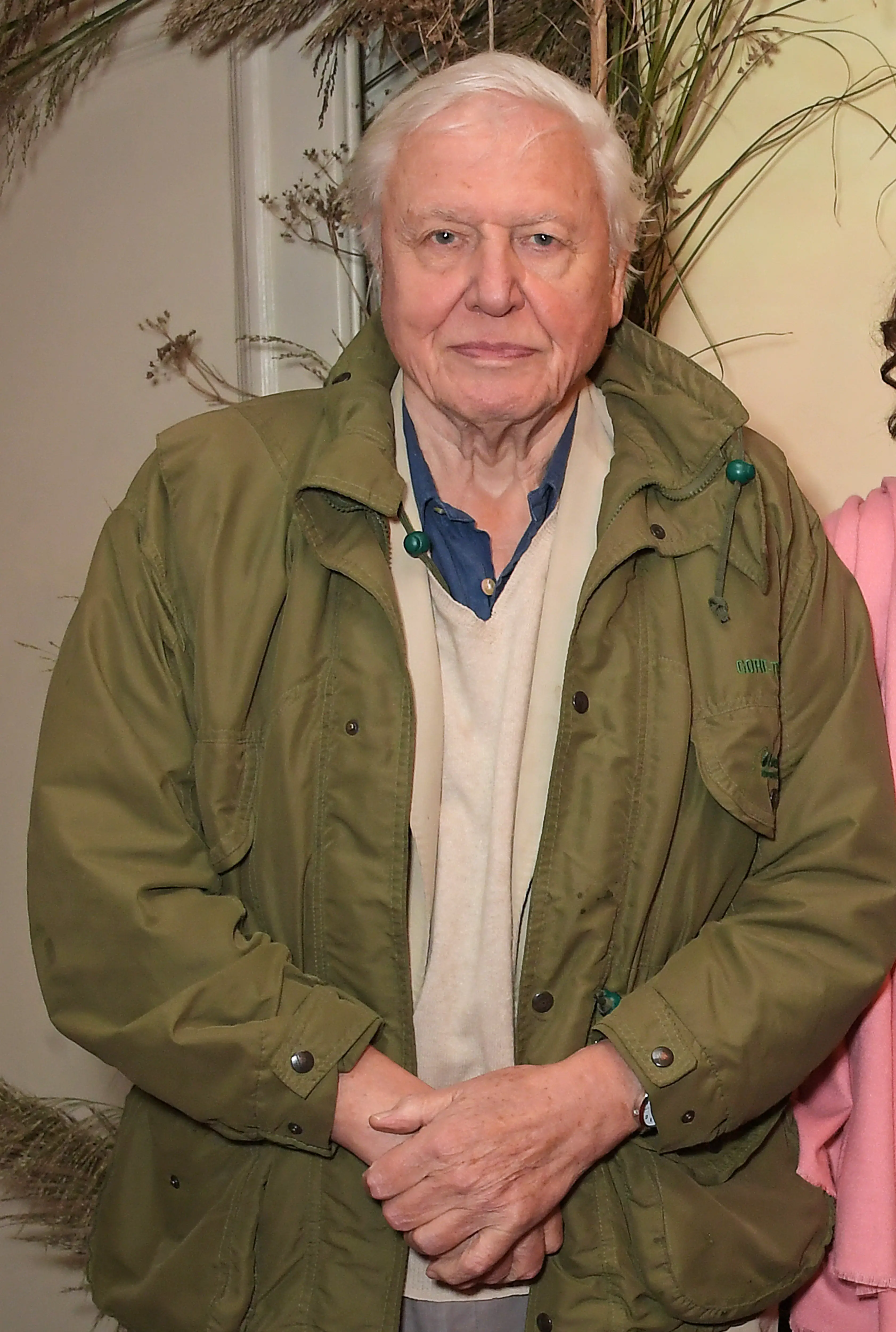 We all know the 98-year-old's voice (David M. Benett/Dave Benett/Getty Images for Apple)