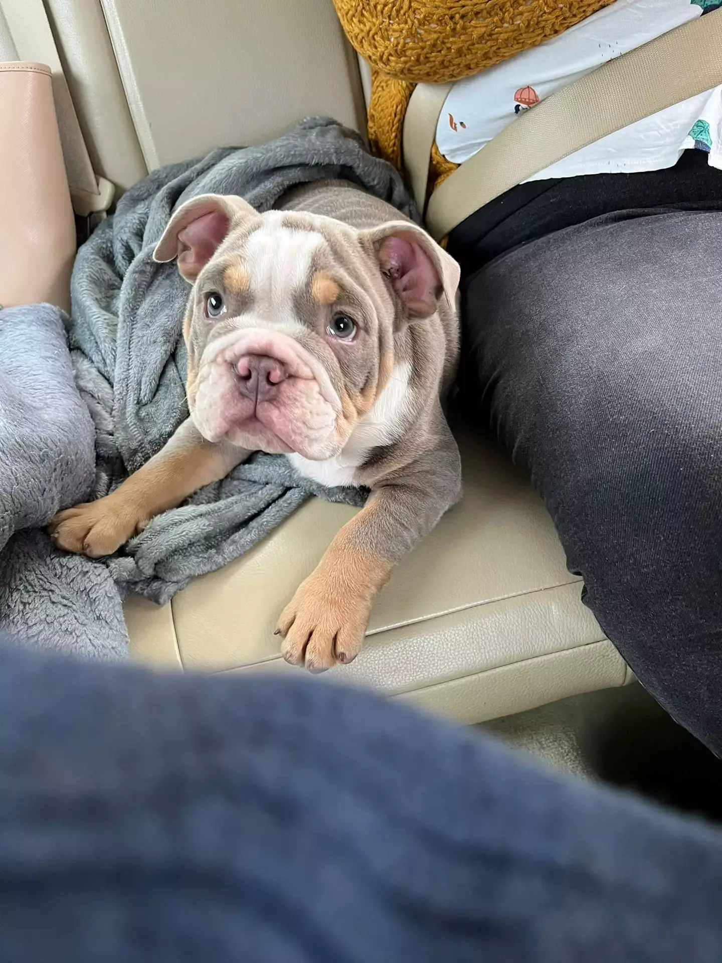 David Lindsay's dog managed to fracture his toe by gnawing on it as he slept (SWNS)