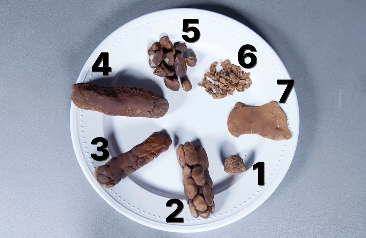 The doc brought in some visual aids to help you understand what you were looking at. Four is ideal, three and five are alright, the rest are a problem. (YouTube/DiaryOfACEO)