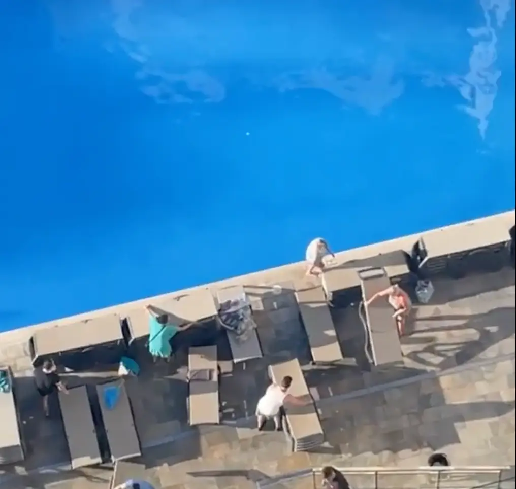 People have been queuing up to get a sun lounger.