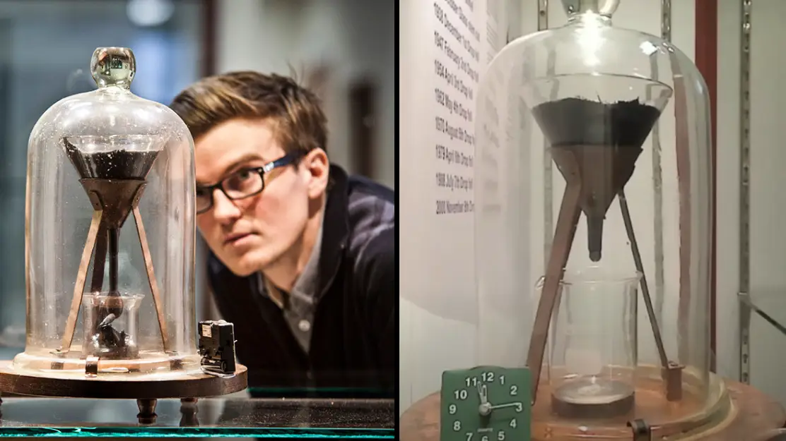 The University of Queensland