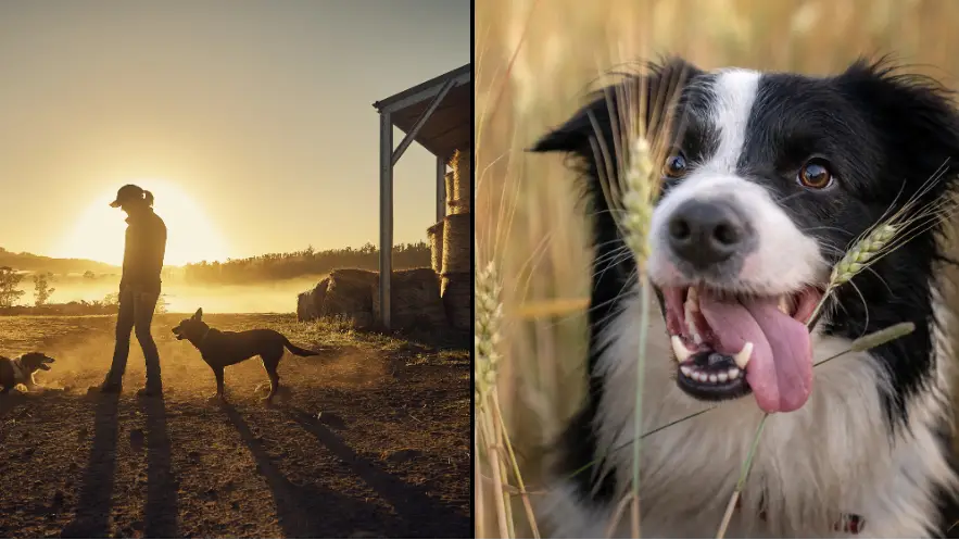 pixdeluxe/Getty Images/SolStock/Getty Images